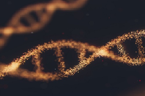 A picture of a piece of human DNA as seen under a microscope
